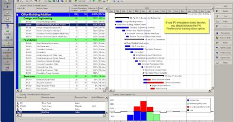primavera starter easy|P6 Professional User Guide .